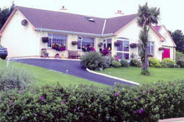 The Yellow Rose B&B Belderg Eksteriør bilde